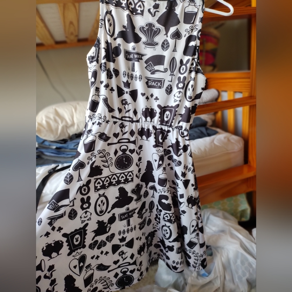 Alice in wonderland dress/costume